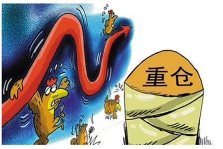 外汇交易仓位管理：轻仓与重仓的平衡之道(图1)