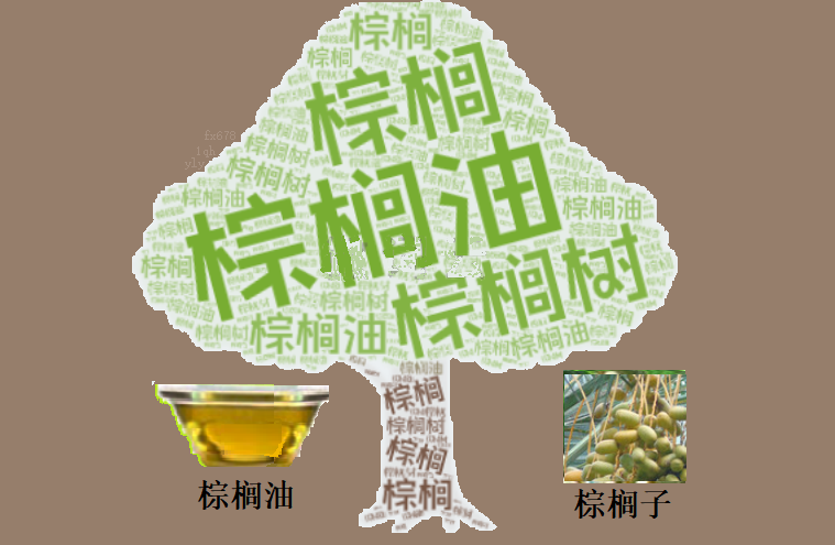 马棕榈油价格企稳4250林吉特 出口数据成下周关键(图1)